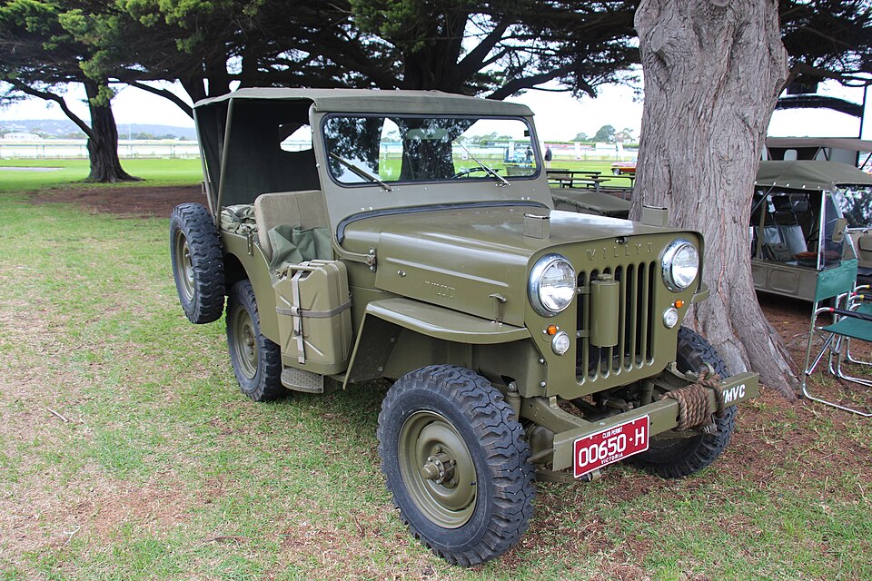 Restored olive Willys CJ-3B under the trees