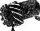 Oil Pump Driven Gear