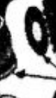 635812 · original ORD detail · AT